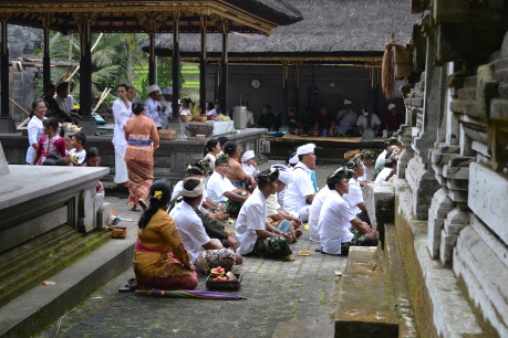 Balinese Hindu attending a ceremony in the monastery of Gunung Kawi in the subak landscape of the Pakerisan watershed.